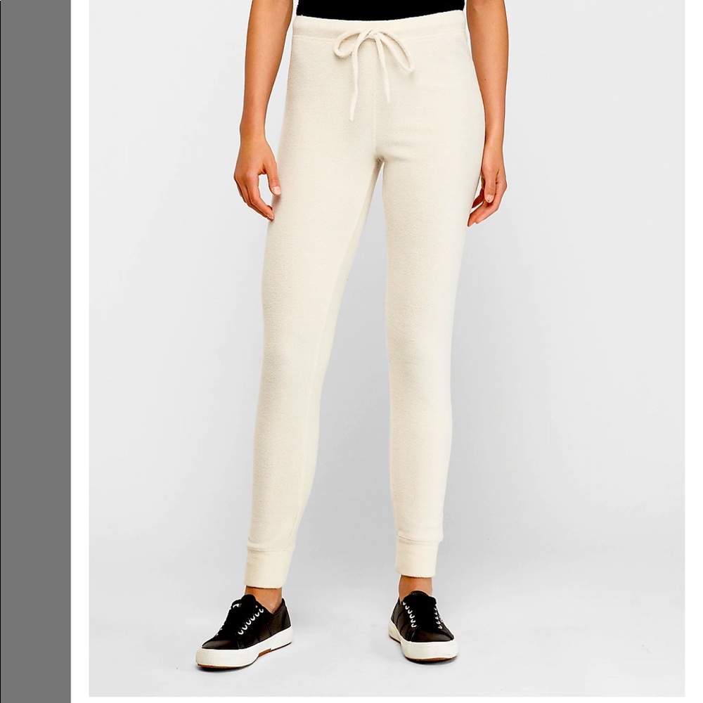 Express Cozy light weight fleece leggings. 2 pairs